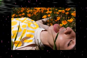 Allure of the Poppy #23 thumbnail