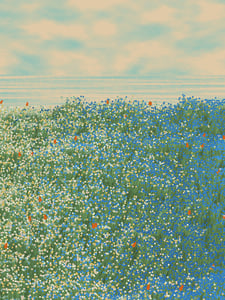 Superbloom #25 thumbnail