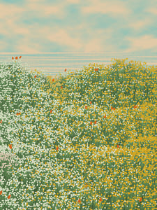 Superbloom #20 thumbnail