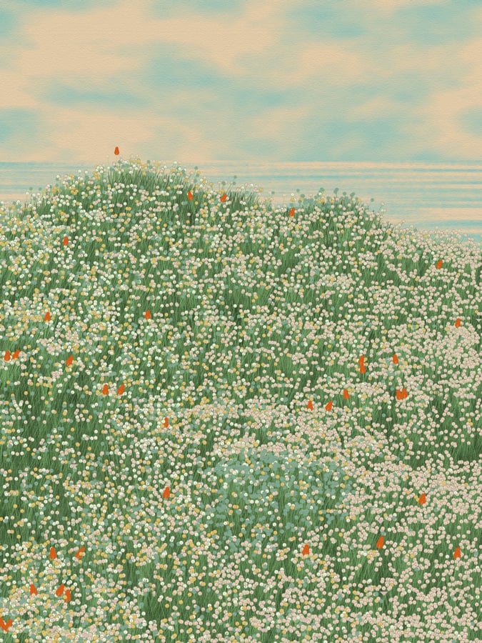 Superbloom by Elsif