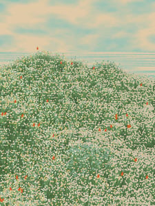 Superbloom #1 thumbnail