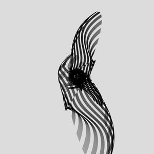 ANATOMY of a rabbit but bird #22 thumbnail