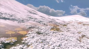 New Landscapes 2023 #24 thumbnail