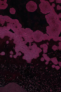 Dactylogram #73 thumbnail