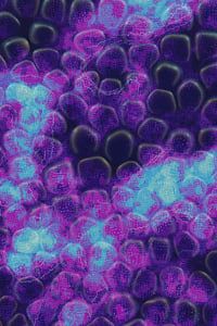 Vitreous #47 thumbnail