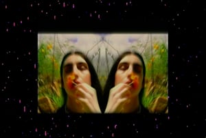 Allure of the Poppy thumbnail