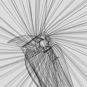 ANATOMY of a rabbit but bird #14 thumbnail