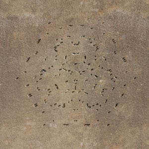 crystalline work (arctic) 2.3.349.1 thumbnail