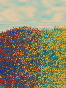 Superbloom #28 thumbnail