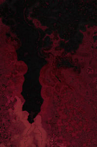 Dactylogram #24 thumbnail