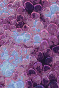 Vitreous #41 thumbnail