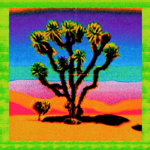 Arid Articulations #30 thumbnail