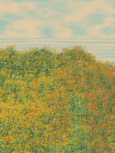 Superbloom #63 thumbnail