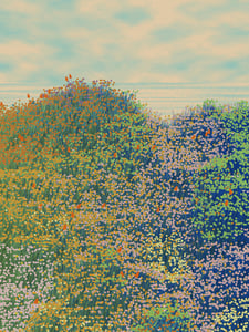 Superbloom #127 thumbnail