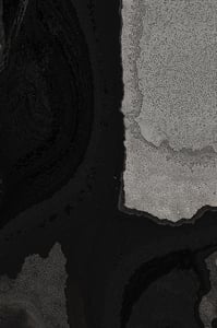 Dactylogram #65 thumbnail
