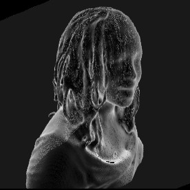 Stephanie Dinkins avatar