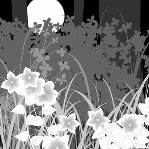 Night Shoots #79 thumbnail
