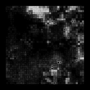 Fine Particles #9 thumbnail