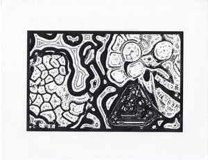 NOTOPORE thumbnail