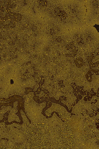 Dactylogram #105 thumbnail