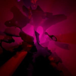BLOOMCORE #21 thumbnail