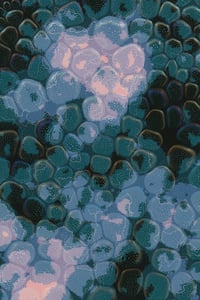 Vitreous #82 thumbnail