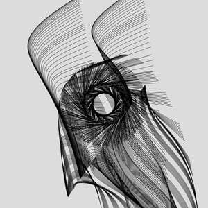 ANATOMY of a rabbit but bird #9 thumbnail