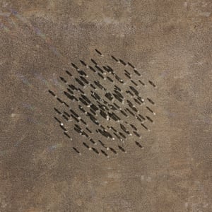 crystalline work (arctic) 19.5.314.1 thumbnail