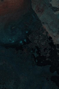 Dactylogram #115 thumbnail