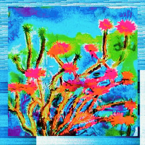 Arid Articulations #15 thumbnail