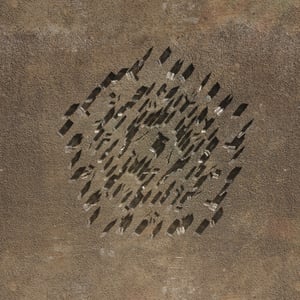crystalline work (arctic) 24.5.297.1 thumbnail