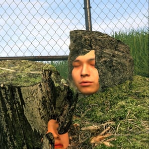 Cao Shu avatar