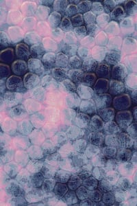 Vitreous #4 thumbnail