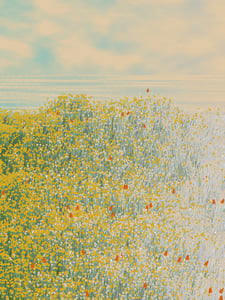 Superbloom #142 thumbnail