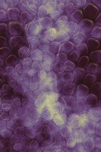 Vitreous #87 thumbnail