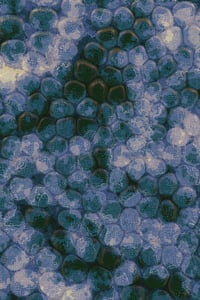 Vitreous #125 thumbnail