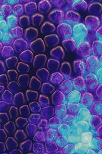 Vitreous #39 thumbnail