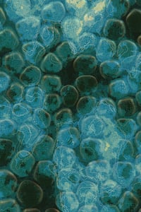 Vitreous #98 thumbnail