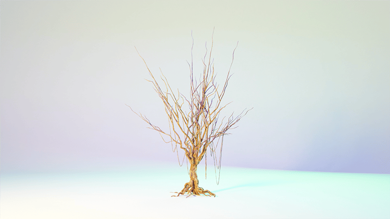 The Hybrid Branch by John James x Soliman Lopez