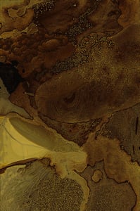 Dactylogram #117 thumbnail
