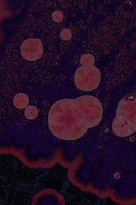 Dactylogram #82 thumbnail