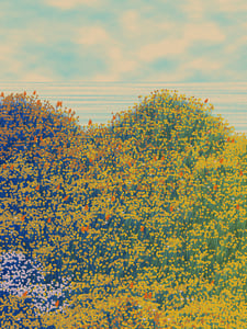Superbloom #45 thumbnail