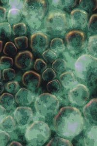 Vitreous #94 thumbnail