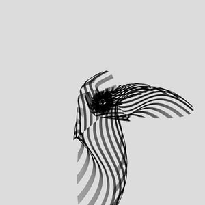 ANATOMY of a rabbit but bird #28 thumbnail