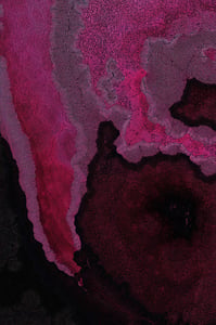 Dactylogram #14 thumbnail