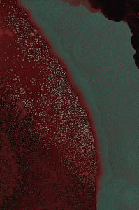 Dactylogram #126 thumbnail