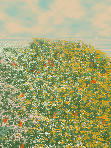 Superbloom #69 thumbnail