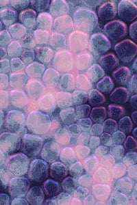 Vitreous #33 thumbnail