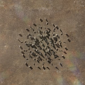 crystalline work (arctic) 7.5.301.1 thumbnail