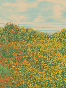 Superbloom #62 thumbnail